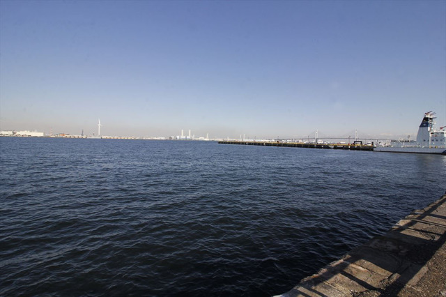 IMG_8187_1200.JPG