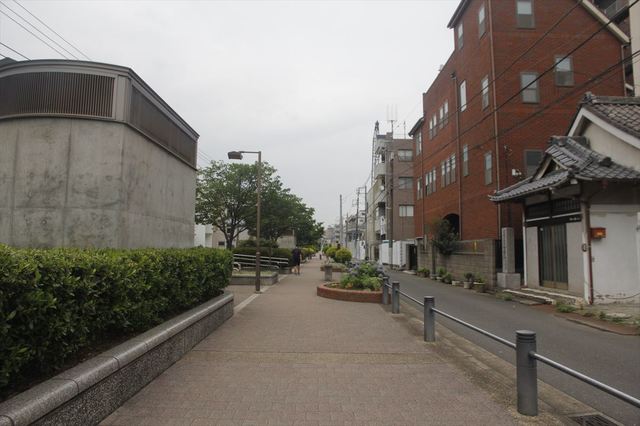 IMG102_0812_1200.JPG