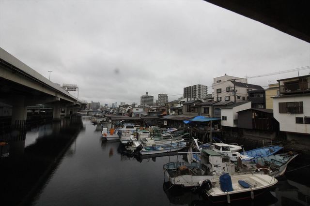 IMG_2584_1500.JPG