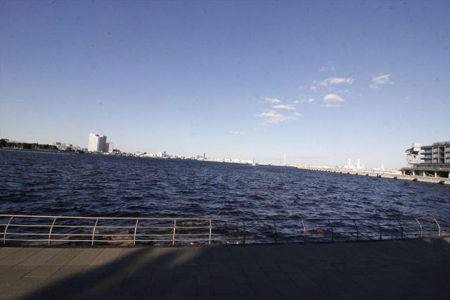 IMG_2725_1500.JPG