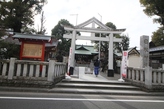 IMG_7377_1500.JPG