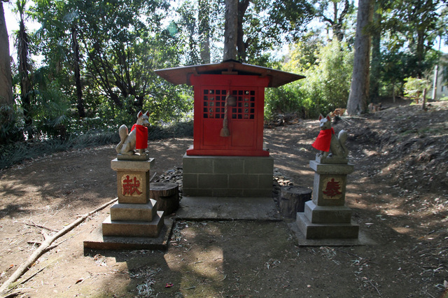 IMG_7450_1500.JPG