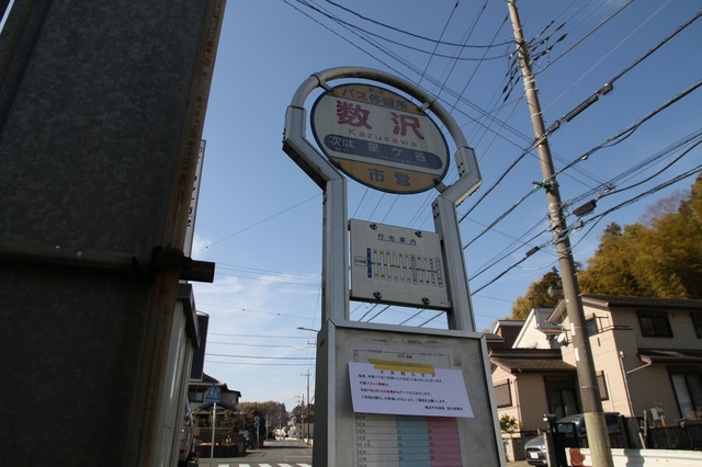 IMG_7475_1500.JPG