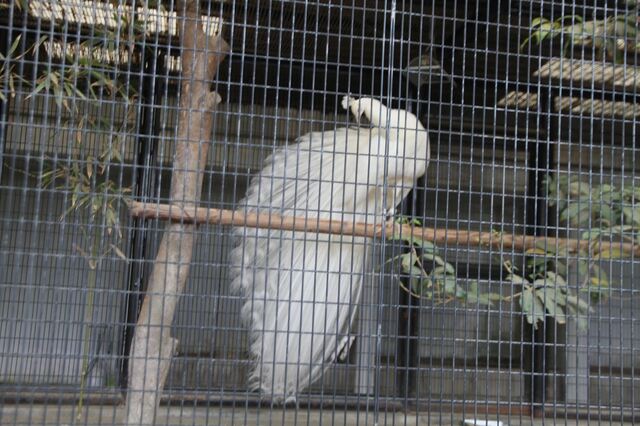 IMG_7808_1500.JPG