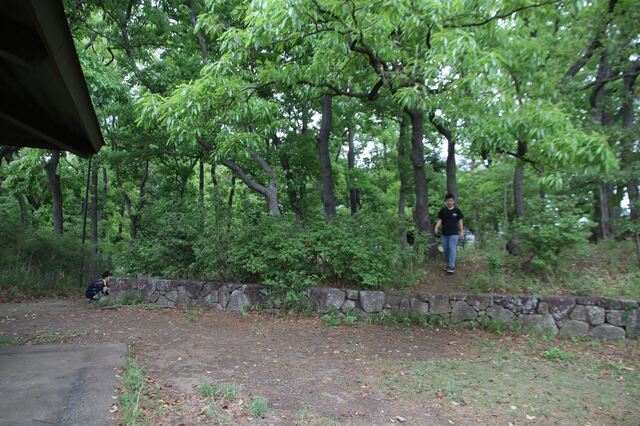 IMG_8108_1500.JPG